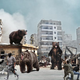 Rebel and government forces alike say the sudden appearance of bears has significantly worsened the state of turmoil in Syria.